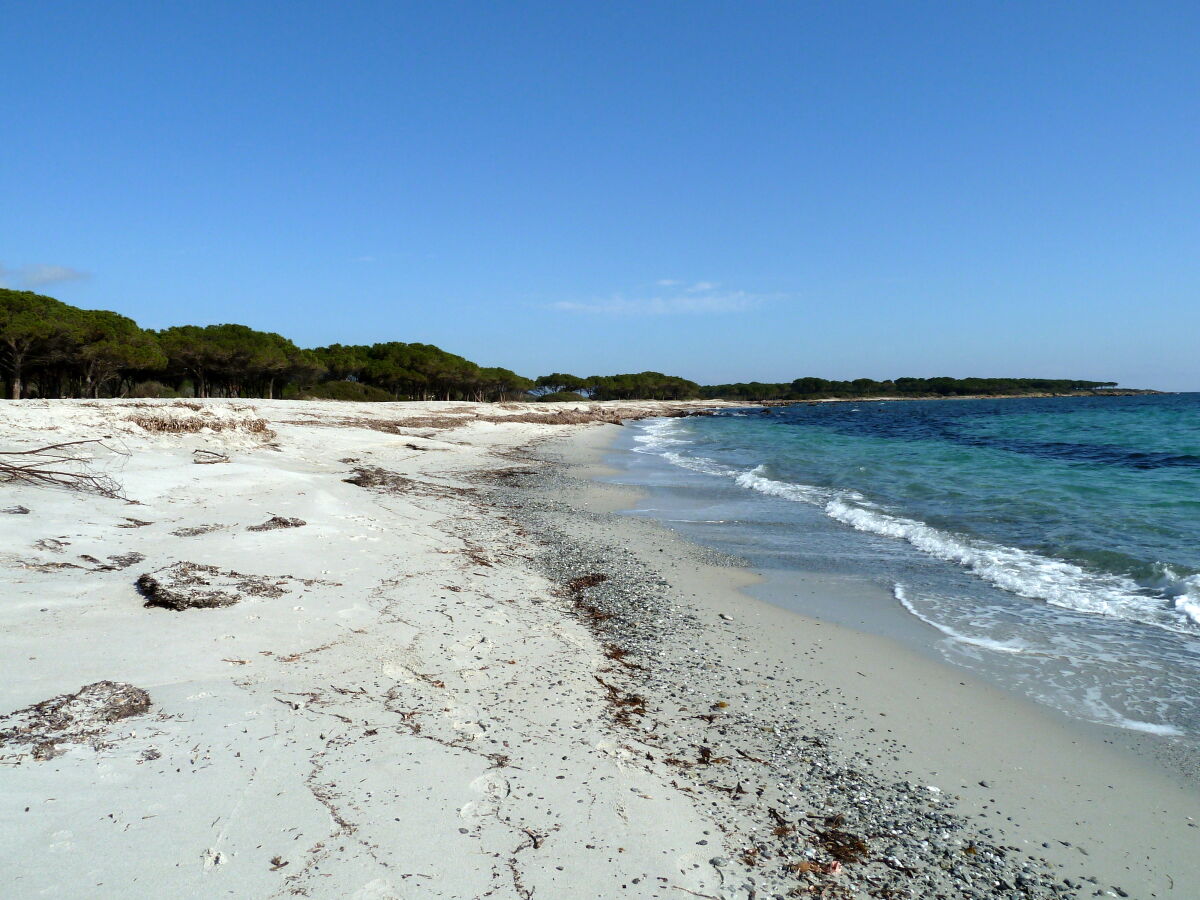 Strand vor Santa Lucia mit herrlichem Pinienwald