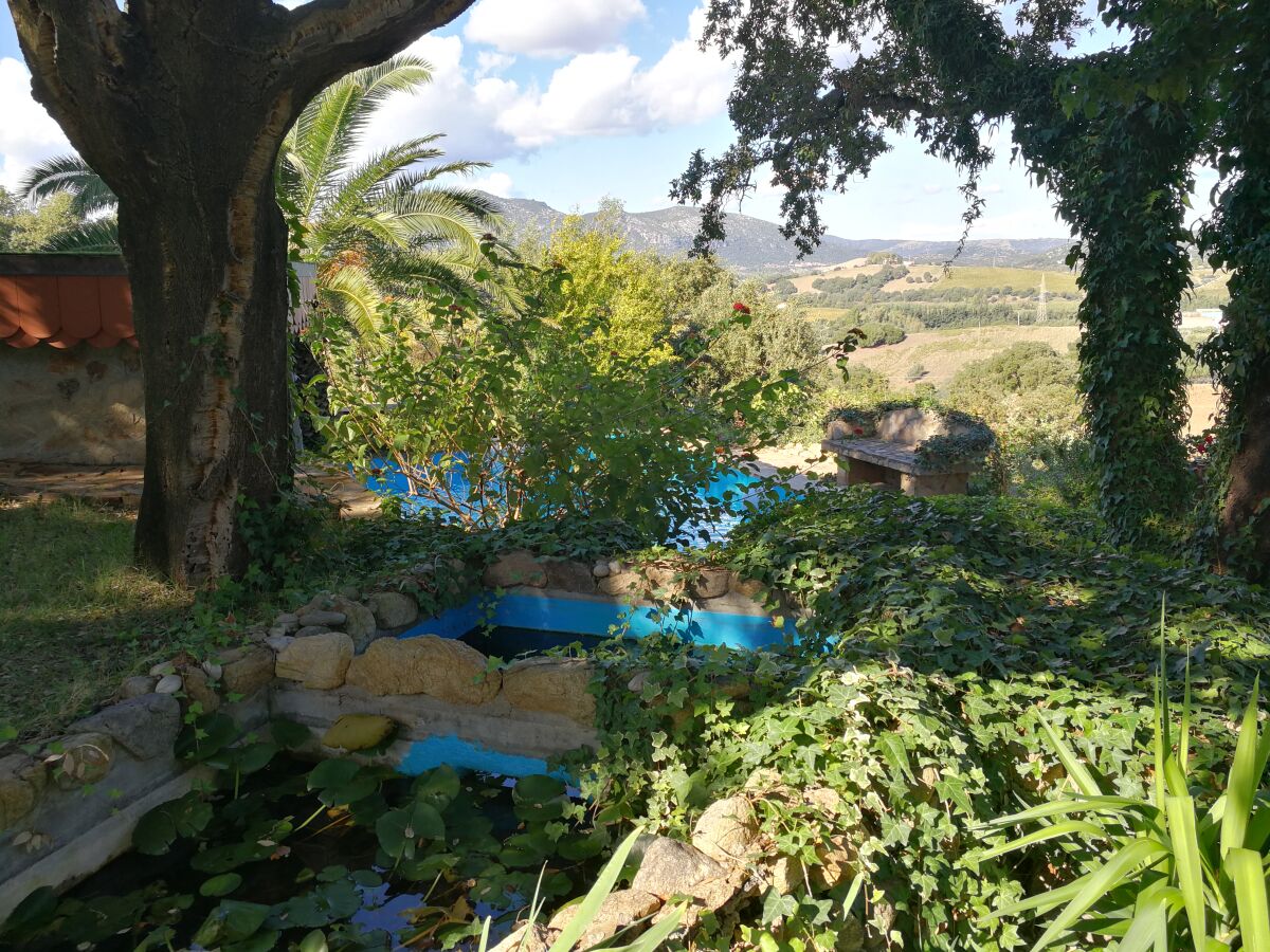 kleine Wasserbecken im schönen Garten