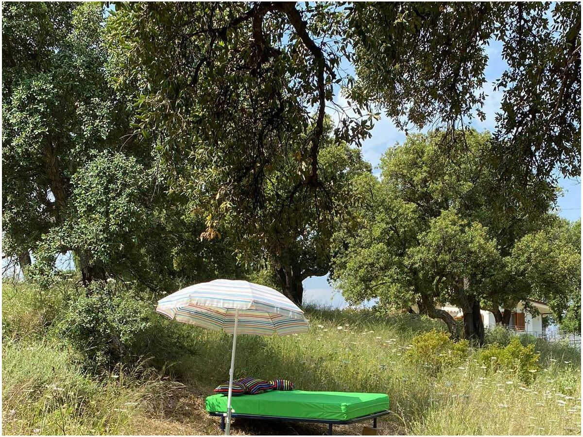 Ein Sommer-Bett in der Wiese zum Träumen