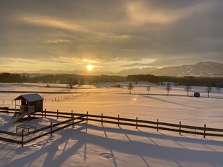 Ferienwohnung Oy-Mittelberg Außenaufnahme 8