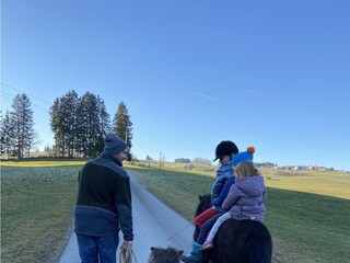Geführtes Ponyreiten