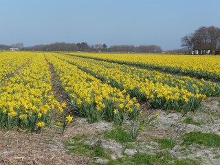 Appartamento per vacanze De Koog Ambiente 23