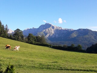 Holiday apartment Berchtesgaden  28