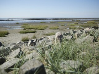 Ferienhaus Büsum Umgebung 16