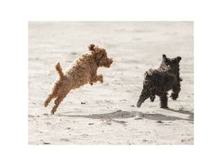 Ferienwohnung Timmendorfer Strand Umgebung 9