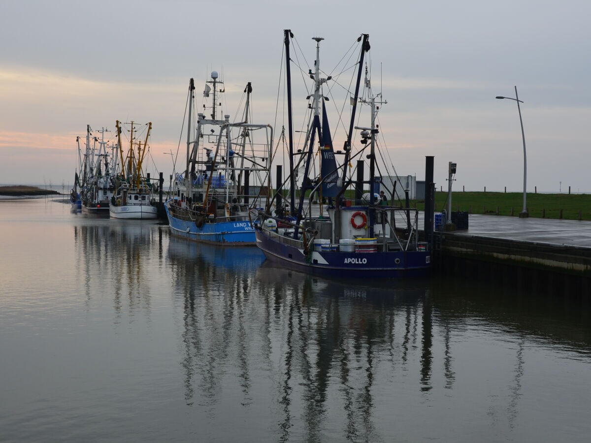 Ruhe und Stille am Dorumer Kutterhafen