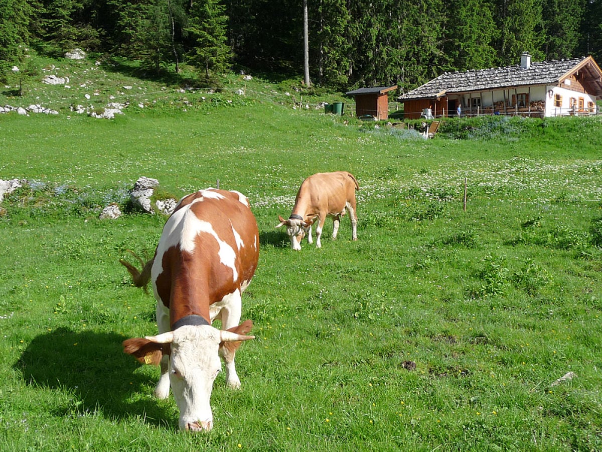 Wanderungen im Nationalpark Berchtgesgaden