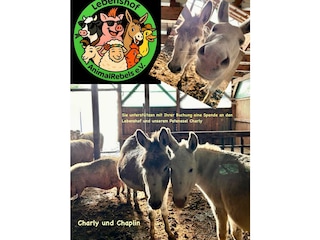 Unterstützung durch Ihren Beitrag