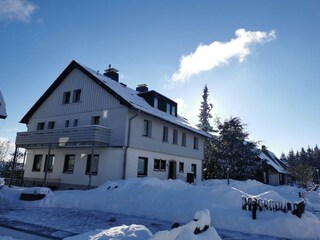 das Haus. Wohnung im Erdgeschoss.