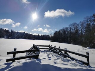 Am Kranichteich