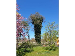 Familienglück - Garten