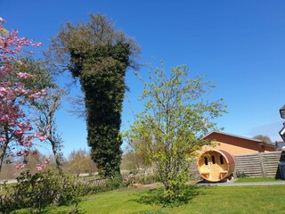 Familienglück - Fassauna