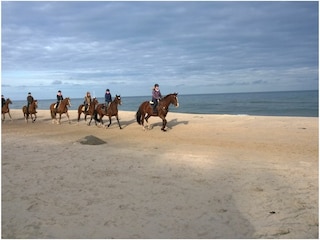 Beach ride