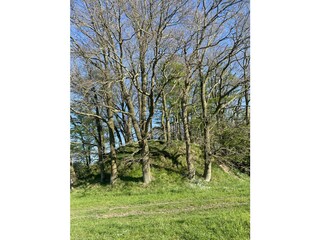 ein Hügelgrab aus der Steinzeit