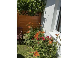 Holiday apartment Dranske Outdoor Recording 7