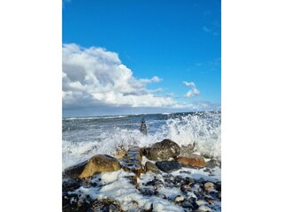 Holiday apartment Dranske Environment 34