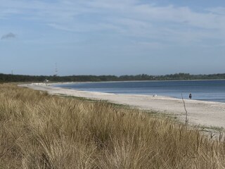 Holiday apartment Dranske Environment 35