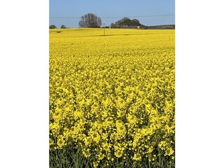 Holiday apartment Dranske Environment 37