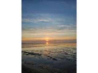 Ferienhaus Dorum-Neufeld Umgebung 16