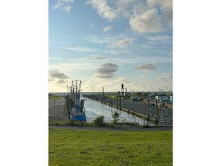 Ferienhaus Dorum-Neufeld Umgebung 18