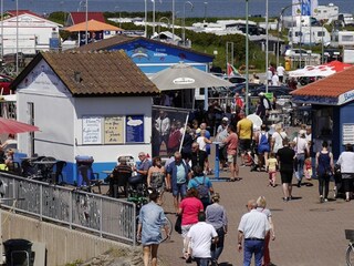 Ferienhaus Dorum-Neufeld Umgebung 23