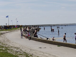 Ferienhaus Dorum-Neufeld Umgebung 14