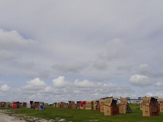 Ferienhaus Dorum-Neufeld Umgebung 28