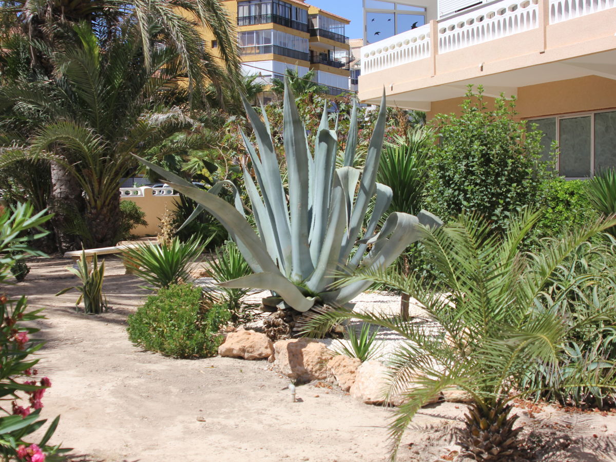 Vakantieappartement Torrevieja Buitenaudio-opname 1