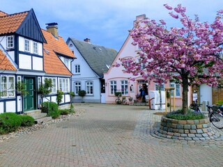 Schleistadt Kappeln im Frühling
