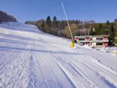 Quartier12 - Skipiste direkt vor der Haustür