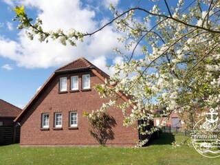 Ferienhaus Norddeich Außenaufnahme 2