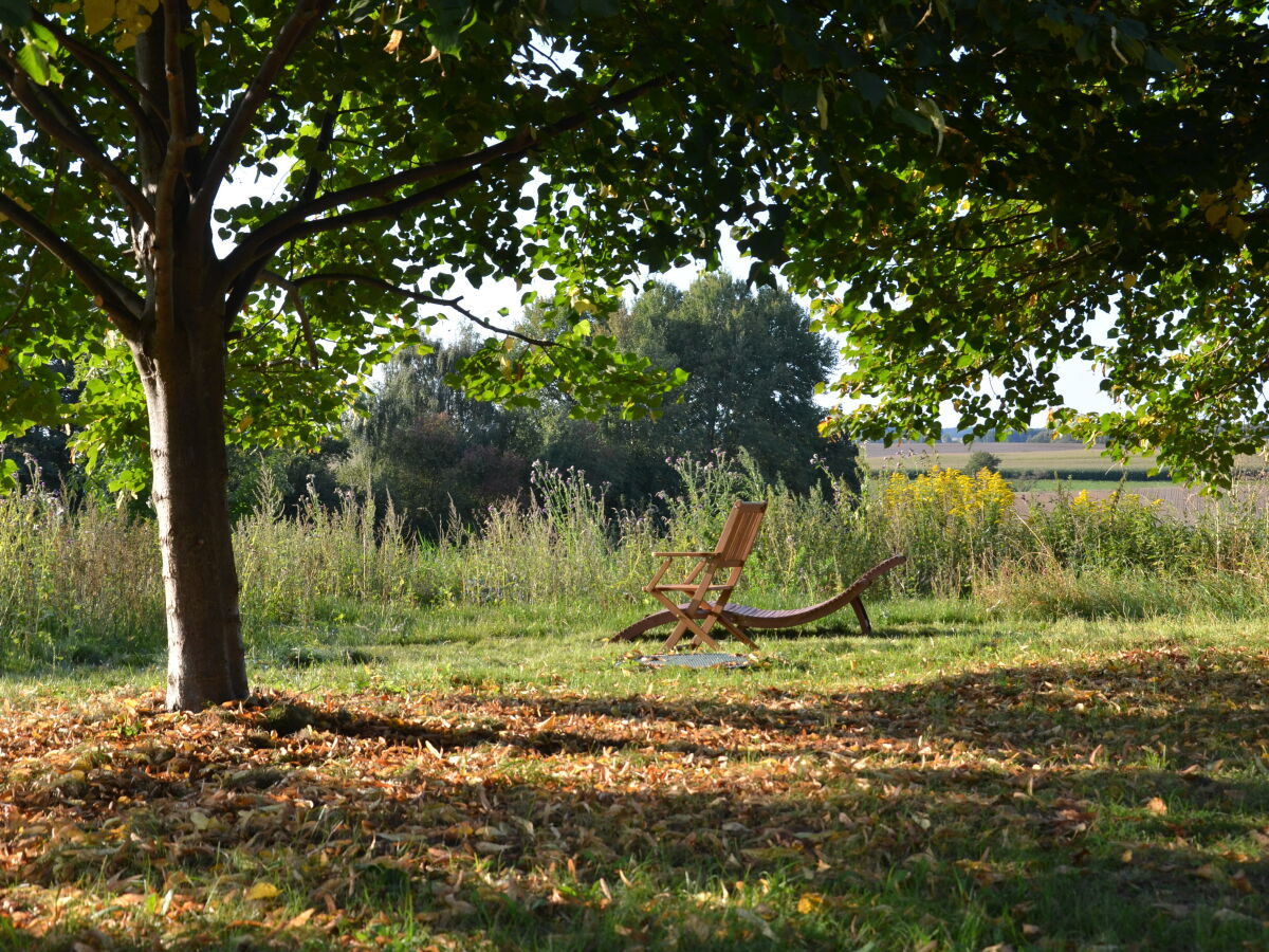 Garten im Spätsommer