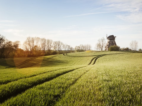 Ferienwohnung Kamut, Schamper Mühle