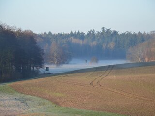 View from a window with mist.