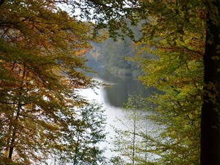 Glienholz Wanderweg