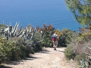 Vakantiehuis Marina di Campo Omgeving 35