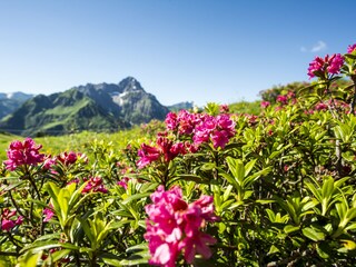 Appartamento per vacanze Riezlern Ambiente 20