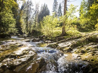 Appartamento per vacanze Riezlern Ambiente 22