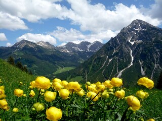 Appartamento per vacanze Riezlern Ambiente 31