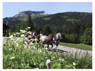 Appartamento per vacanze Riezlern Ambiente 32