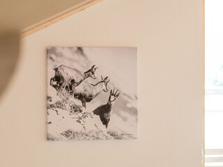 Apartamento de vacaciones Oberstdorf Características 18