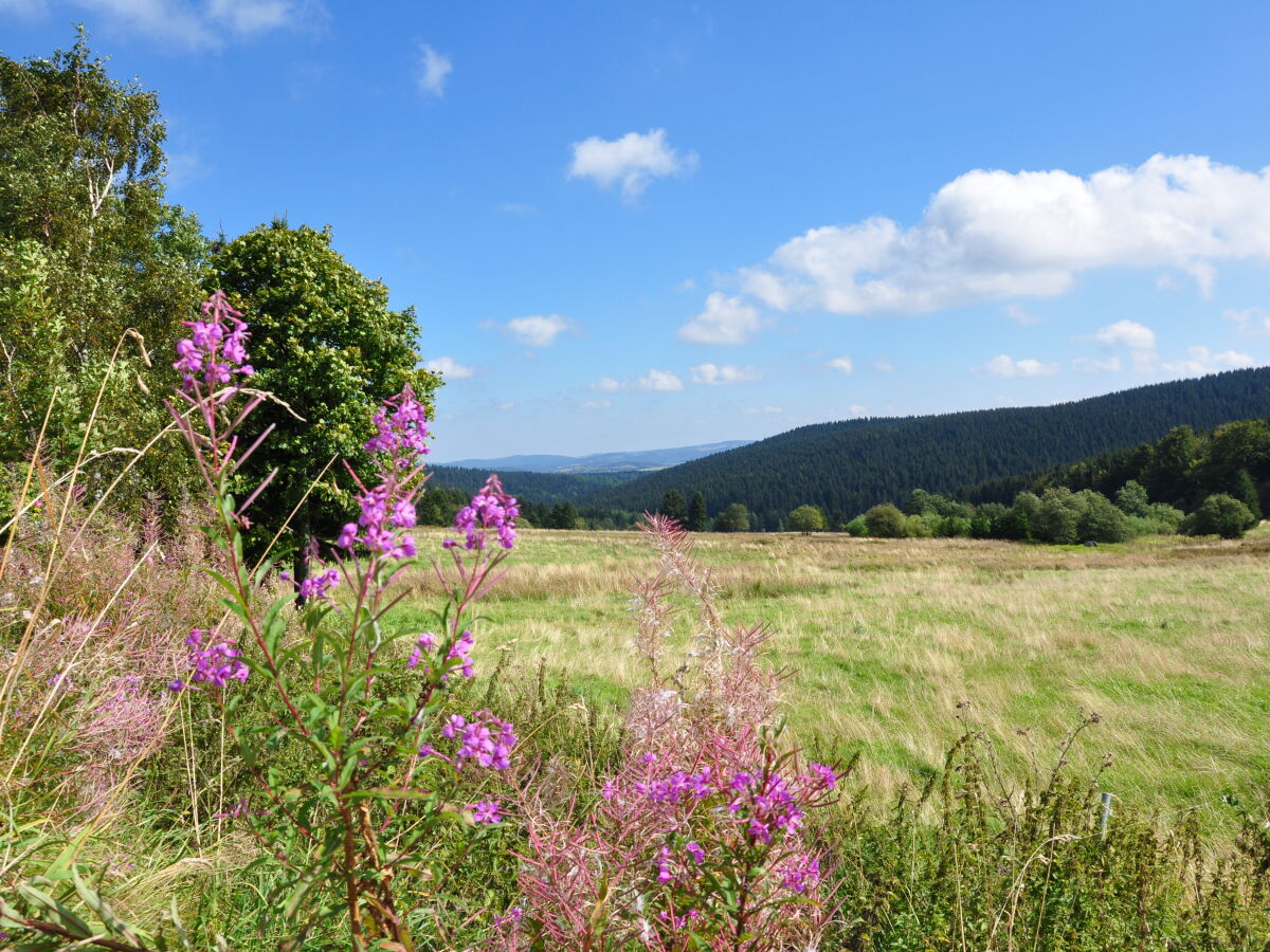 Landschaft bei Neustadt am Rennsteig