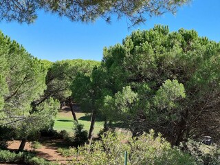 Golfplatz, angrenzend an den Garten