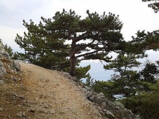 Genießen Sie Spaziergänge und Wanderungen in der Natur.
