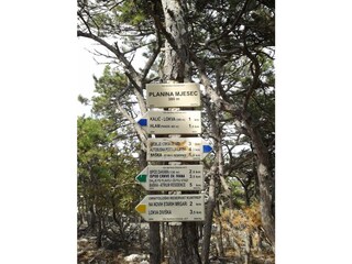 Genießen Sie Spaziergänge und Wanderungen in der Natur.