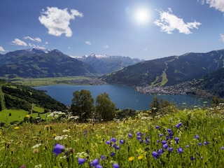 Hohe Tauern