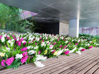 Apartamento de vacaciones Dorf Tirol Entorno 35