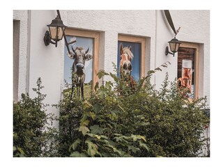 Casa per le vacanze Kronenburg Registrazione all'aperto 4