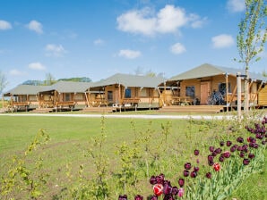 Holiday house Glamping Lodge - Westerland (Wieringen) - image1