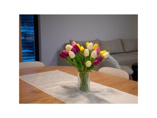 Ferienhaus Glavina Gornja Ausstattung 29